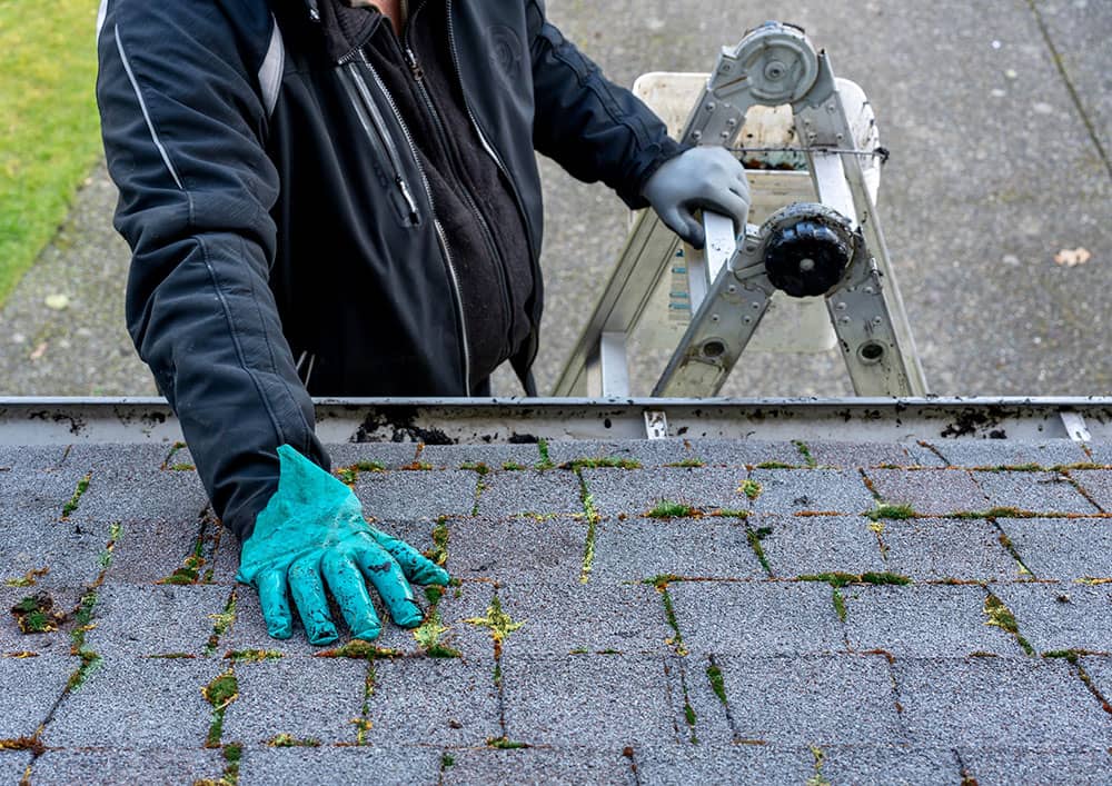 The Dos and Don’ts of Roofing Maintenance