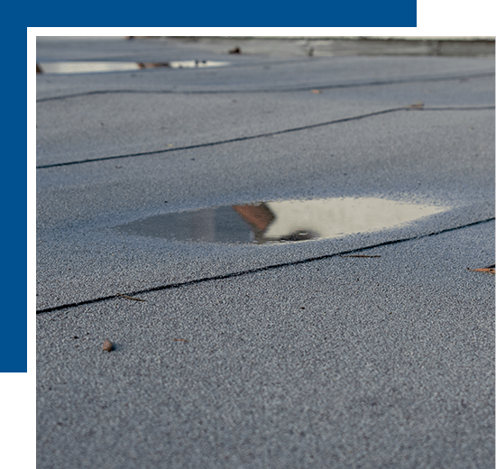 Comprehensive Roof Inspection Services in Orlando & Fort Myers, FL