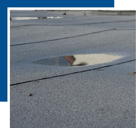 Comprehensive Roof Inspection Services in Orlando & Fort Myers, FL