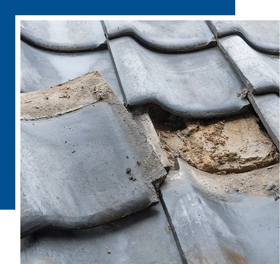 Expert Roof Repair Services in Florida