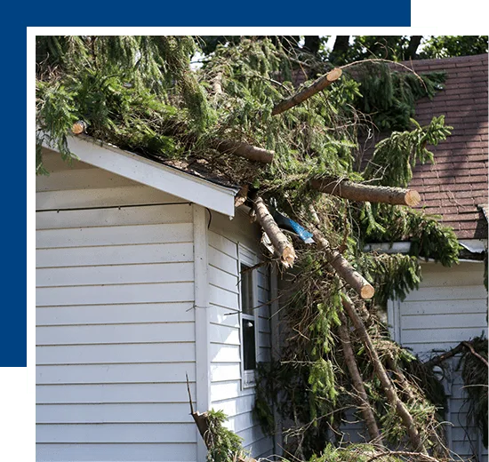Insurance Claims